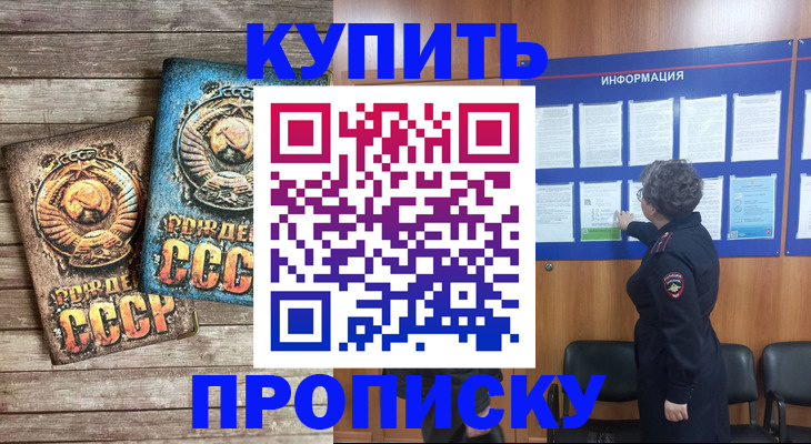 прописка для школы в Мончегорске